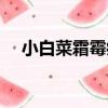 小白菜霜霉病（關于小白菜霜霉病簡介）