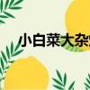 小白菜大雜燴（關于小白菜大雜燴簡介）