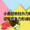 小直徑樁柱升力形成機理的實驗研究及數值模擬（關于小直徑樁柱升力形成機理的實驗研究及數值模擬簡介）