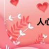 人心（關于人心的簡介）