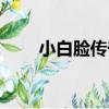 小白臉傳奇（關于小白臉傳奇簡介）