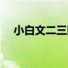 小白文二三四（關于小白文二三四簡介）