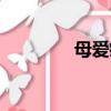 母愛瘋丫頭（霸愛瘋丫頭）