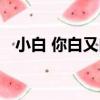 小白 你白又白（關于小白 你白又白簡介）
