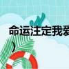 命運注定我愛你（關于命運注定我愛你的簡介）