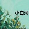 小白河村（關于小白河村簡介）