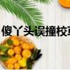 傻丫頭誤撞校草心 揚揚（傻丫頭誤撞校草心）