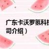 廣東卡沃羅氫科技有限公司（關于廣東卡沃羅氫科技有限公司介紹）