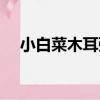小白菜木耳粥（關于小白菜木耳粥簡介）