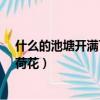 什么的池塘開滿了什么的荷花?（什么的池塘開滿了什么的荷花）