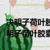 決明子荷葉膠囊減肥藥什么時候吃飯前嗎（決明子荷葉膠囊）