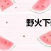 野火下載器（野火手機軟件網）