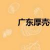 廣東厚殼桂（關于廣東厚殼桂介紹）