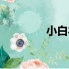 小白羊（關于小白羊簡介）