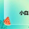 小白及（關于小白及簡介）