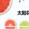 太陽花（關于太陽花的簡介）