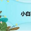 小白獅（關于小白獅簡介）