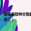穆桂英掛帥分集劇情介紹（關于穆桂英掛帥分集劇情介紹的簡介）