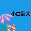 小白到大亨（關于小白到大亨簡介）