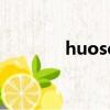 huose（關于huose的簡介）