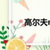 高爾夫mk2價格（高爾夫mk2）
