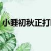 小睡初秋正打呼（關于小睡初秋正打呼簡介）