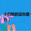 小白臉的混也是一種生活（關于小白臉的混也是一種生活簡介）