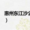 惠州東江沙公園作文400字（惠州東江沙公園）