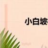 小白坡村（關于小白坡村簡介）