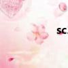 sc2國際熱帶木材組織