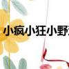 小瘋小狂小野蠻（關于小瘋小狂小野蠻簡介）