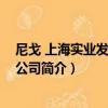 尼戈 上海實業發展有限公司（關于尼戈 上海實業發展有限公司簡介）