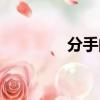 分手的一天（分手的日子）