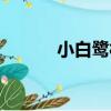 小白鷺村（關于小白鷺村簡介）