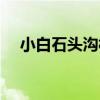 小白石頭溝村（關于小白石頭溝村簡介）