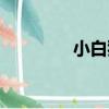 小白狐（關于小白狐簡介）