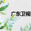 廣東衛視吧（關于廣東衛視吧介紹）