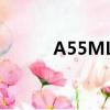 A55MLC2主板參數（a55mlc）