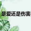 是愛還是傷害是哪年的歌曲（是愛還是傷害）