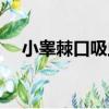 小睪棘口吸蟲（關于小睪棘口吸蟲簡介）