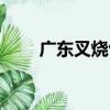 廣東叉燒包（關于廣東叉燒包介紹）