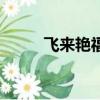 飛來艷福（關于飛來艷福的簡介）