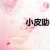 小皮助手（關于小皮助手簡介）