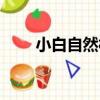 小白自然村（關于小白自然村簡介）