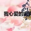 我心愛的密探（關于我心愛的密探的簡介）