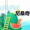 尼桑奇駿（關于尼桑奇駿簡介）