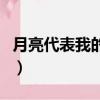 月亮代表我的心（關于月亮代表我的心的簡介）