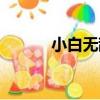小白無敵（關于小白無敵簡介）