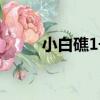 小白礁1號（關于小白礁1號簡介）