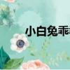 小白兔乖乖（關于小白兔乖乖簡介）